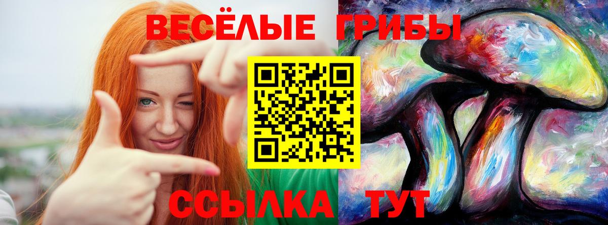 Галлюциногенные грибы ЛСД Грозный